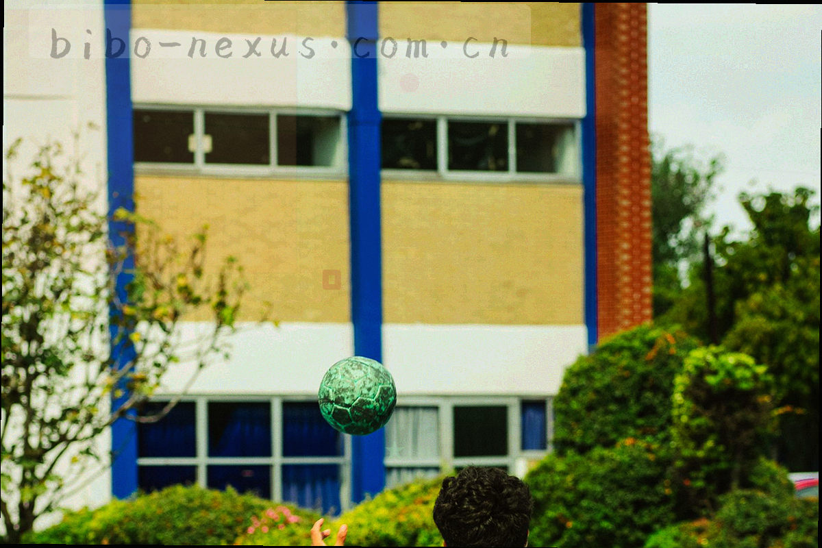 左侧编号索引列与右侧三栏参数卡片簇，每张卡片带一条侧边色带和生效标记